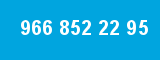 966 852 22 95